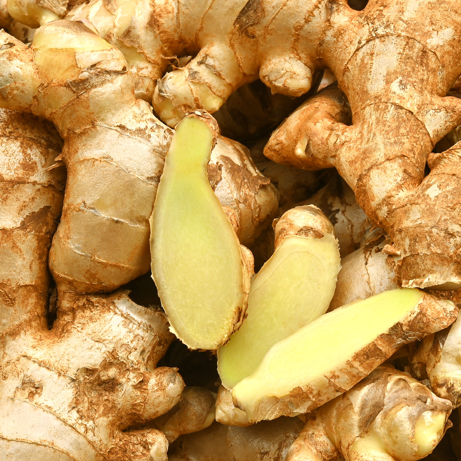 Overskåret ingefærrod