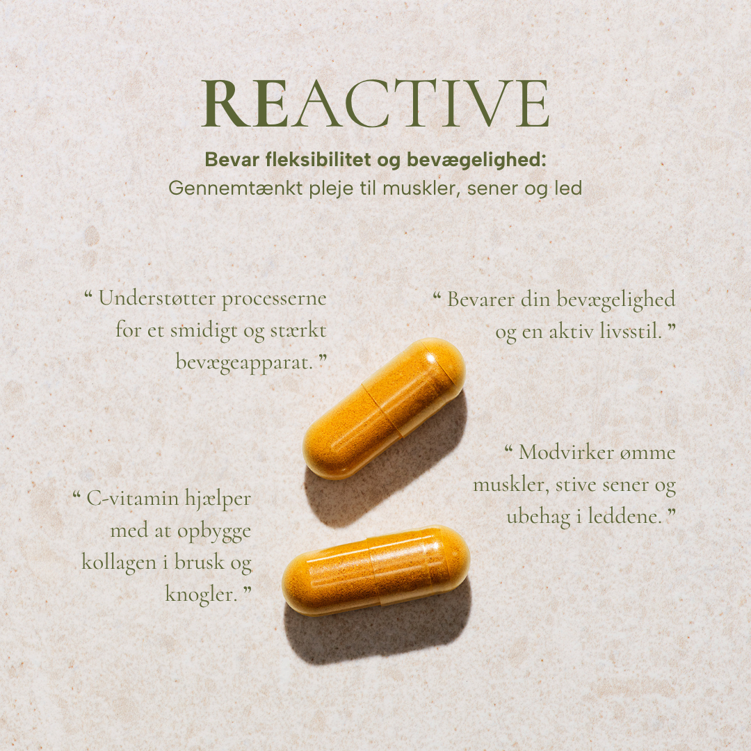 REACTIVE kosttilskudskapsler fra Sandvig Pharma med anprisninger