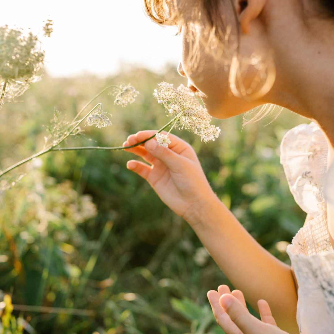 Lille pige dufter til en blomst