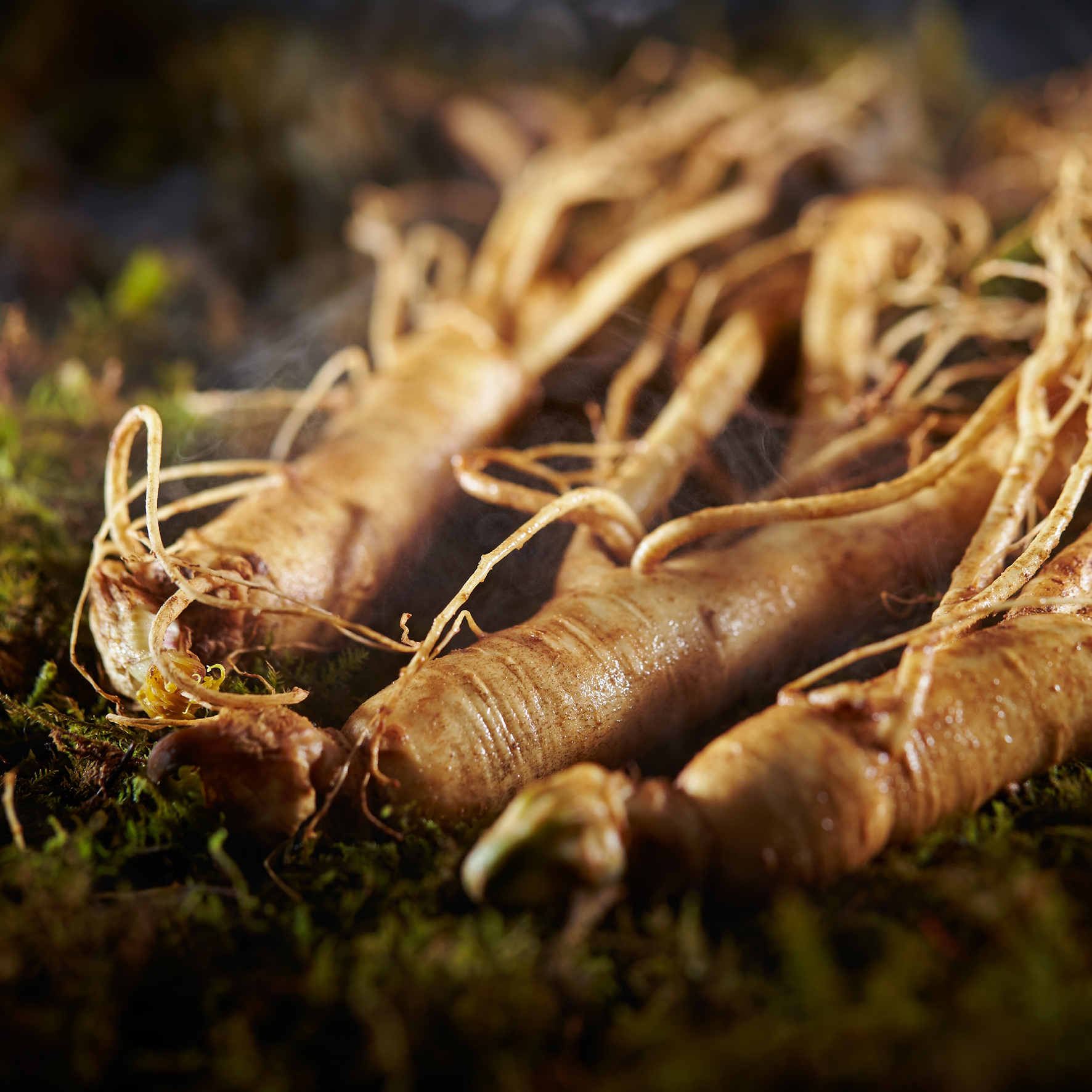 Ginseng - naturlige kosttilskud uden tilsætningsstoffer - Sandvig Pharma