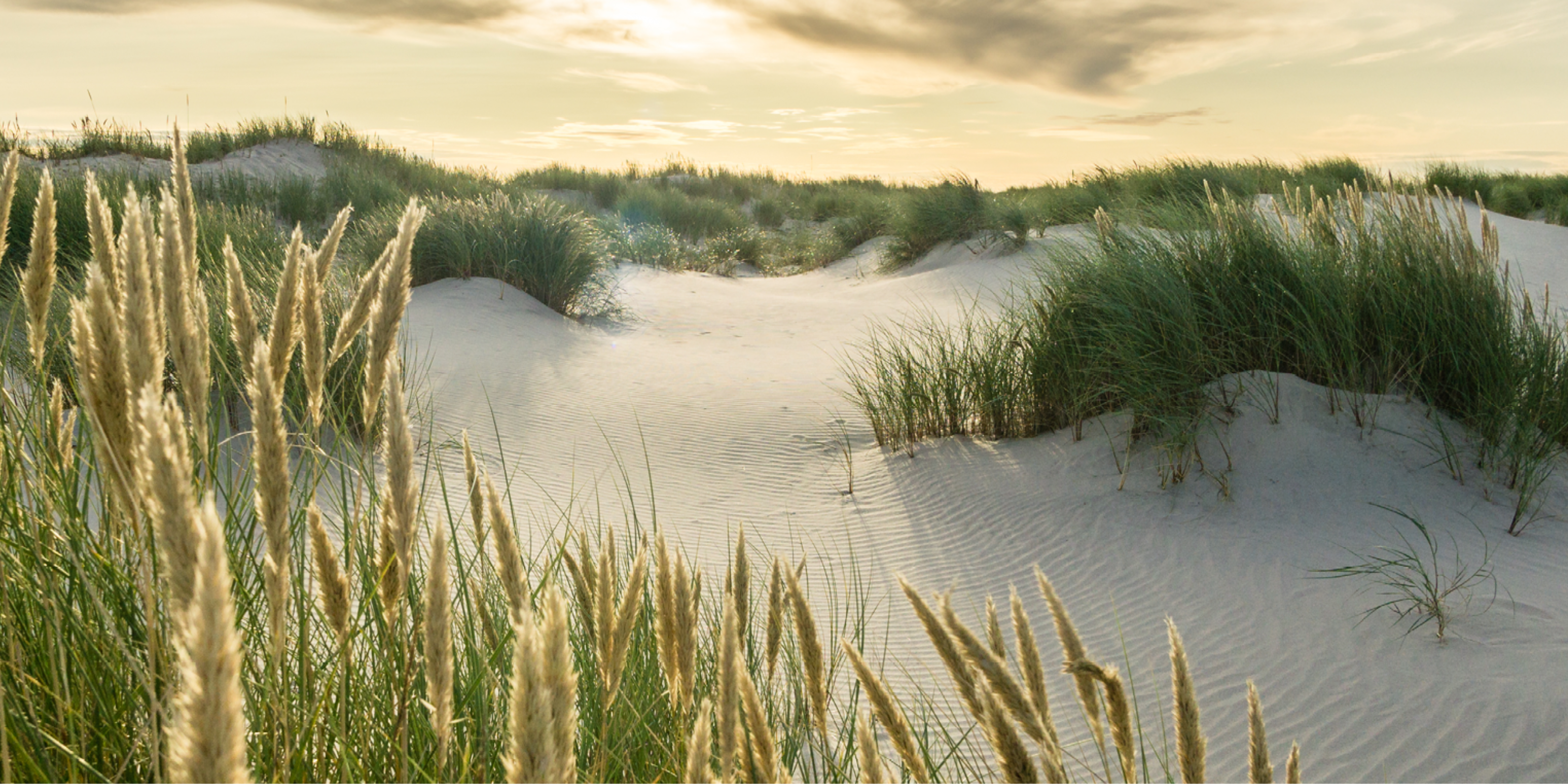Dansk klitlandskab med sand og marehalm