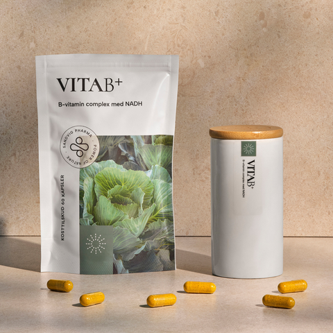 Kosttilskud VITAB+ fra Sandvig Pharma, krukke med bambuslåg og kapsler spredt på stenplade